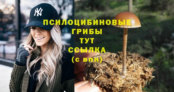 винт Баксан