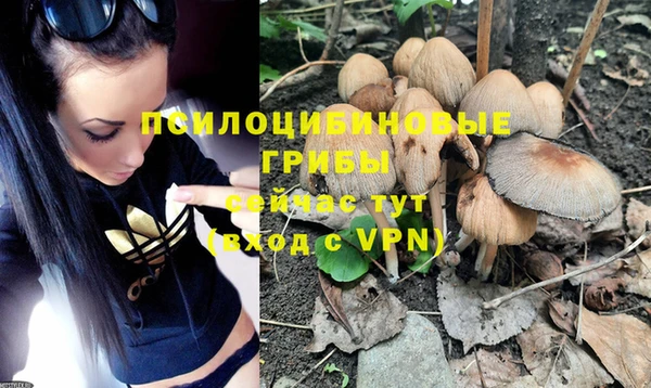 шишки Балабаново