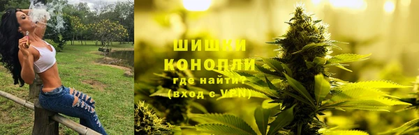 винт Баксан