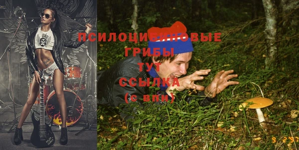 шишки Балабаново